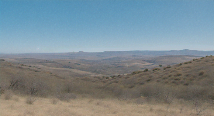 進化と適応力から見るAIの未来 - 環境変化への耐性と実践的活用法